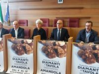 Il tartufo pregiato dei Sibillini torna protagonista nel Fermano , dal 4 al 12 novembre