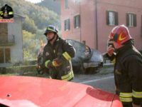 Macerata, due cani finiti nel fiume e in fossato : salvati