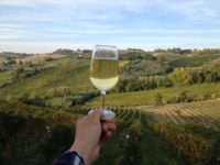 A Matelica un focus sul futuro del Verdicchio