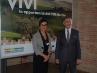 Agricoltura, altri 6 milioni per imprese del cratere sismico