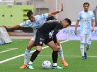 Calcio. Serie B, per l’Ascoli uno 0-0 con l’Entella che vale oro. Giovedi 31 atto finale al Del Duca