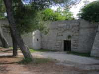 Ascoli. Via i pini secolari dalla storica Fortezza Pia, Legambiente dice no: ‘Proteste eclatanti”.