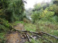 Ascoli. Italia Nostra denuncia : ‘Pista sul Fiume Castellano in totale abbandono’