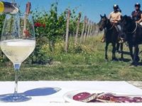 Passeggiare a cavallo per scoprire il vino, il cibo e la bellezza del territorio. Al via Equi-Wine Marche