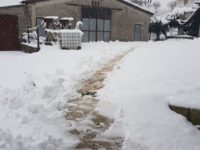 Aziende agricole 30 ore senza corrente, mungitura a mano e disagi
