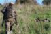 Nuova legge sulla caccia, Coldiretti : “Troppe lacune”