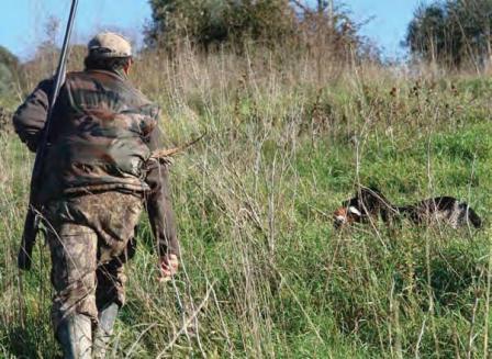 Nuova legge sulla caccia, Coldiretti : “Troppe lacune”