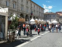 Virus, primo caso positivo ad Ascoli