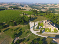 Guida “Cantine d’Italia 2021”, otto aziende eccellenti delle Marche