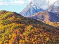 Sui Sibillini si fanno i “bagni di foresta”