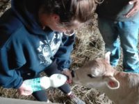 Gli scenari dell’agricoltura alla Fiera di Castel di Lama