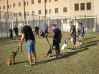 Pet therapy in carcere per riabilitare i detenuti