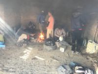 Caporalato nei campi, azienda di Recanati sotto controllo giudiziario