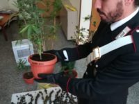 Grottammare, arrestato tunisino con 250 grammi di “fumo”