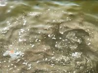 Ascoli, inquinata da batteri acqua Vallevenere. Scattano divieti