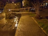 Danni maltempo a San Benedetto, vertice in Comune