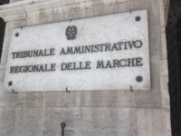 Tar Marche, tirocini formativi per neolaureati