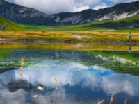 Gran Sasso e Monti della Laga, tutta la flora in una guida fotografica