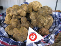 Alla Fiera del tartufo sono tornati gli stranieri