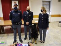 Ascoli, sei arresti per spaccio di cocaina