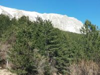 Uomo disperso sul Monte Vettore, ricerche in corso