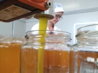 Marche seconde in Italia per la produzione di miele