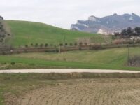 Agricoltura : da Regione Marche 9,9 milioni per strade interpoderali