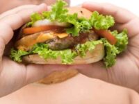 pork hamburger on obese fat boy hand background isolated on white, unhealthy food, junk food or fast food