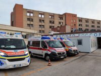 Senigallia, albero si abbatte su auto : un ferito grave