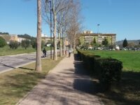 Pd Ascoli : “Spazi fitness nelle aree verdi pubbliche”