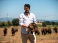 In Umbria riprende l’allevamento dei bisonti