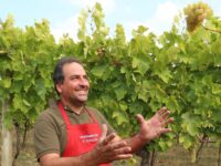 Che Vino ! Progetto nazionale per valorizzare le Marche