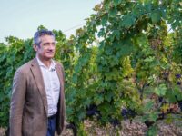 Bernetti presidente dell’Istituto marchigiano tutela vini