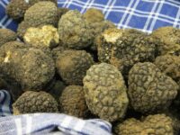 A Pergola arriva la Fiera nazionale del tartufo bianco