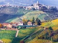 Vini : i grandi terroir del Barolo tornano a Monforte d’Alba