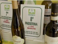 Vini, crescono le vendite di Passerina e bianchi doc