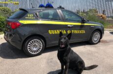Quattro kg di cocaina per Cupra Marittima, donna arrestata