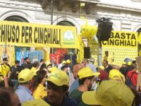 Continua l’emergenza cinghiali, istituzioni ferme