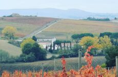 Valdaso, agricoltori contro il mega impianto fotovoltaico
