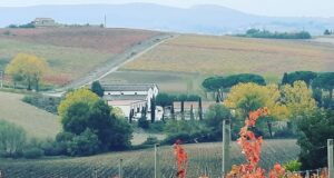 Valdaso, agricoltori contro il mega impianto fotovoltaico