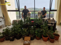 Piantagione di marijuana nel giardino, arrestato a Fermo