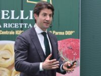 Caro energia, Maccari fa appello ai candidati al Parlamento