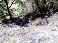 Incendi ripetuti a Montefiore dell’Aso, il sindaco va dai carabinieri