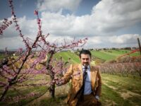 A Monte Urano l’impianto di pesche nettarine più grande d’Europa