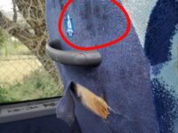 Ancora vandalismi sui mezzi di Conerobus