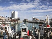 A Senigallia weekend di incontri e degustazioni di pesce