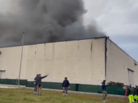 Rogo e nube in fabbrica a Pollenza, scuole chiuse