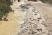 Bomba d’acqua a Fabriano, allagamenti e disagi