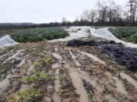 Frane nel Fermano, evacuazioni e salvataggi dei pompieri
