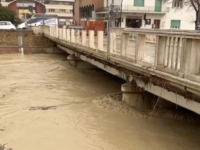 Comitato di Senigallia : “Quando apriranno i cantieri ? “